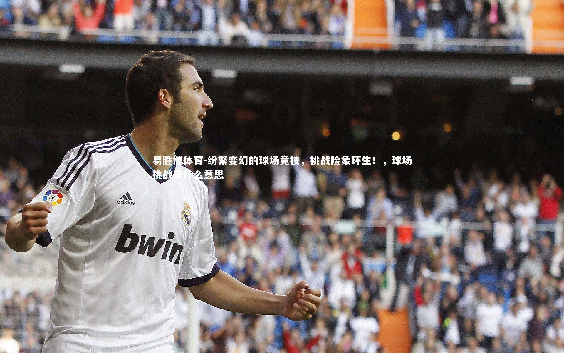 纷繁变幻的球场竞技，挑战险象环生！，球场挑战是什么意思